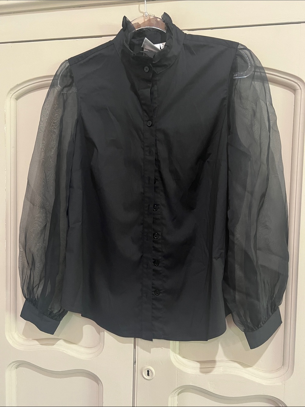 Finley Black Button-Front Blouse with Sheer Puff Sleeves